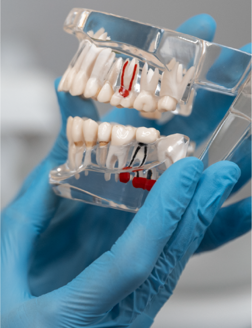 clinica dental corrales endodoncia@2x